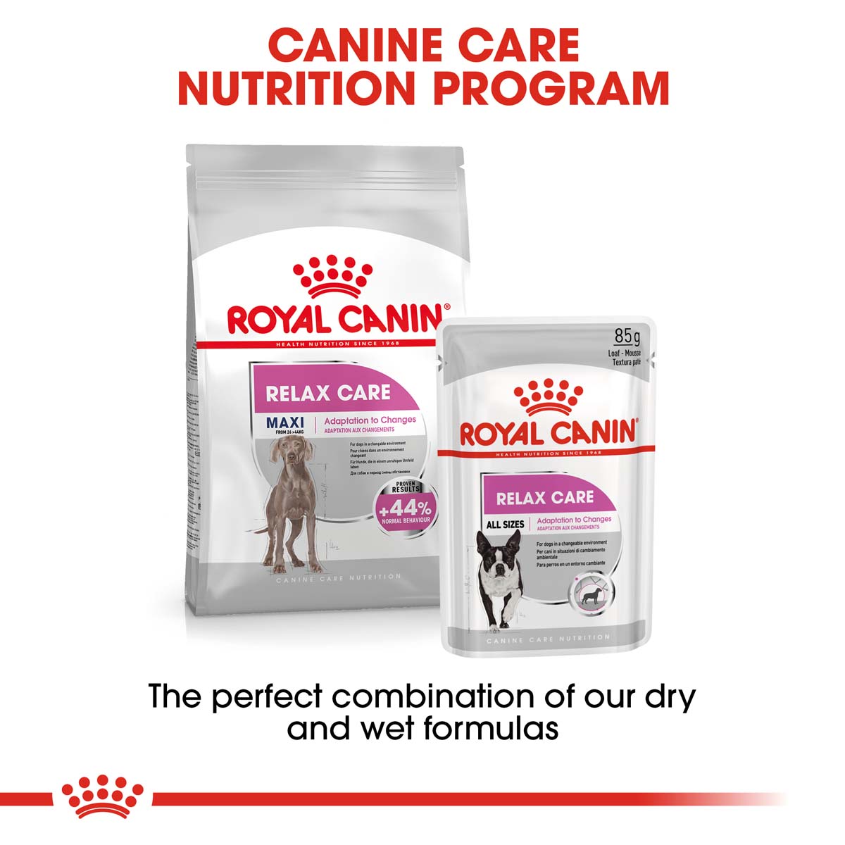ROYAL CANIN RELAX CARE MAXI Trockenfutter für große Hunde in unruhigem Umfeld