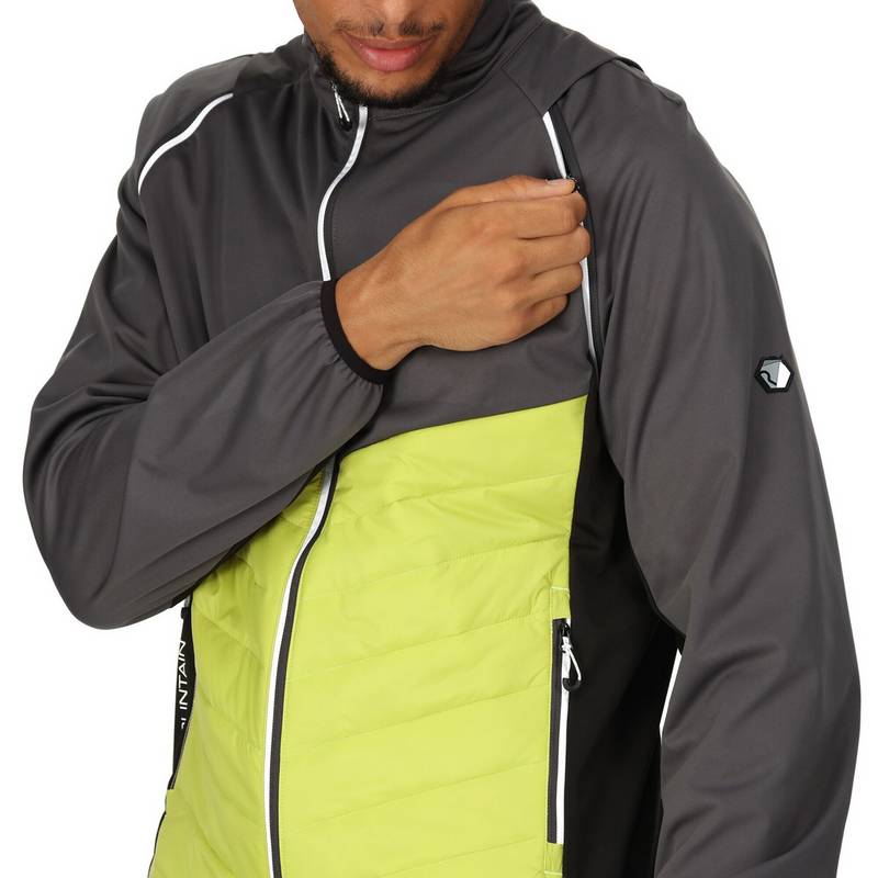 Regatta Steren Funktionsjacke Herren