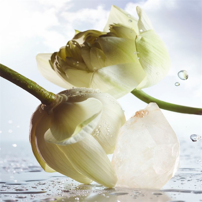 Eau de Parfum Spray
