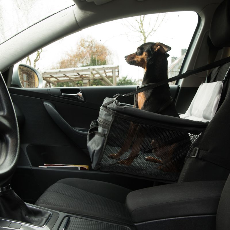 Autositz Booster zu TOP-Preisen