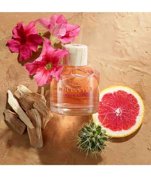 HOLLISTER Canyon Escape for Her Eau de Parfum-30 ml