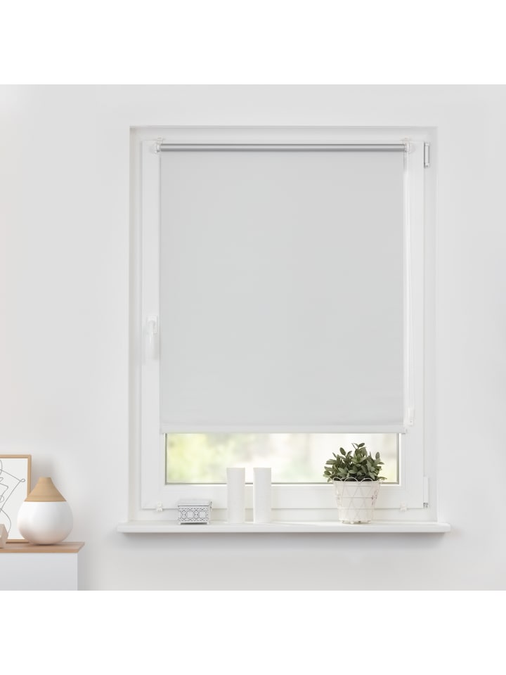 Lichtblick Seitenzugrollo in Weiß günstig kaufen