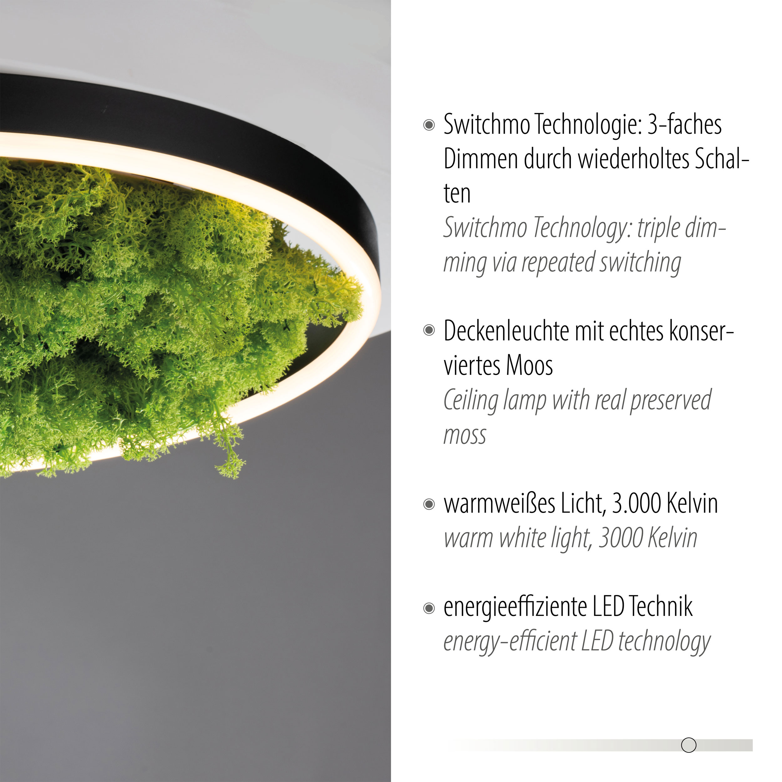 JUST LIGHT.LED-Deckenleuchte 1flg