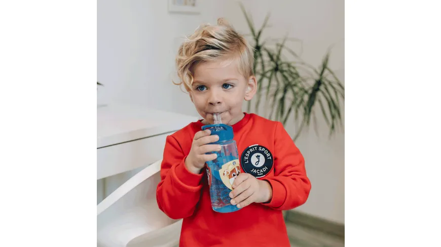 Scooli - AERO Trinkflasche Paw Patrol