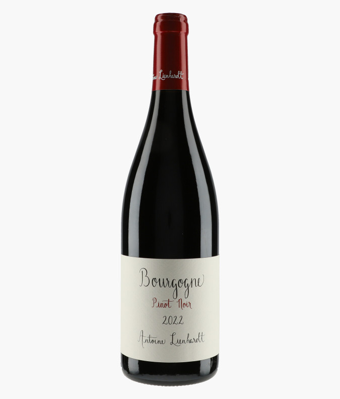 Bourgogne Pinot Noir 2022LIENHARDT ANTOINE