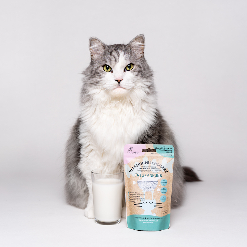 Catlab Katzenmilch & Getränke Catlab Vitamin-Milchshake für Katzen Entspannung