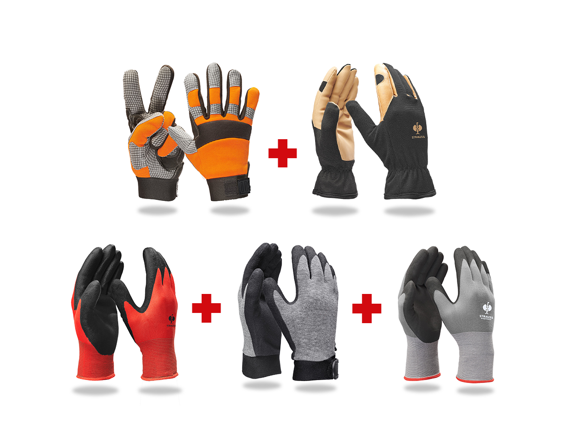 Handschuh-Profi-Set Montage II
