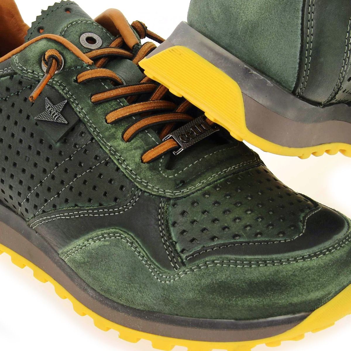 Cetti  C848 H22 - vert