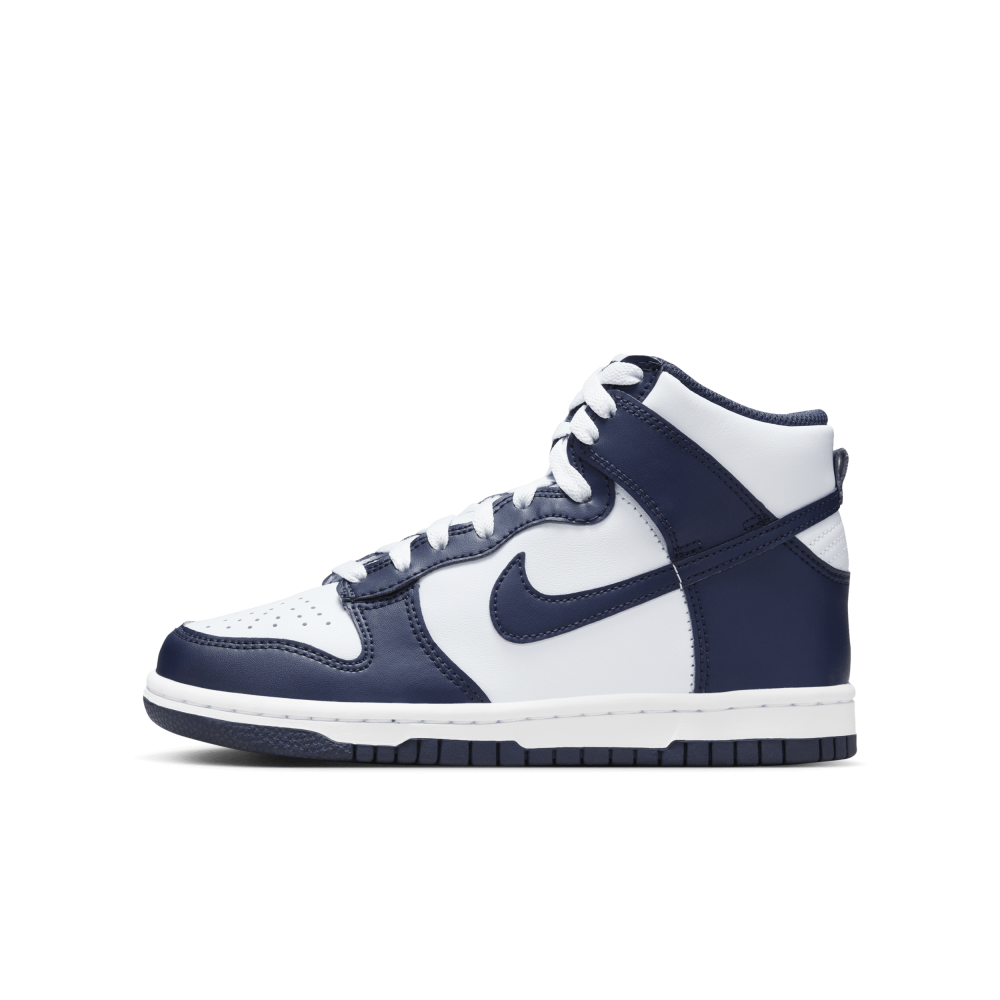 Nike Dunk High DB2179-008 / grau
