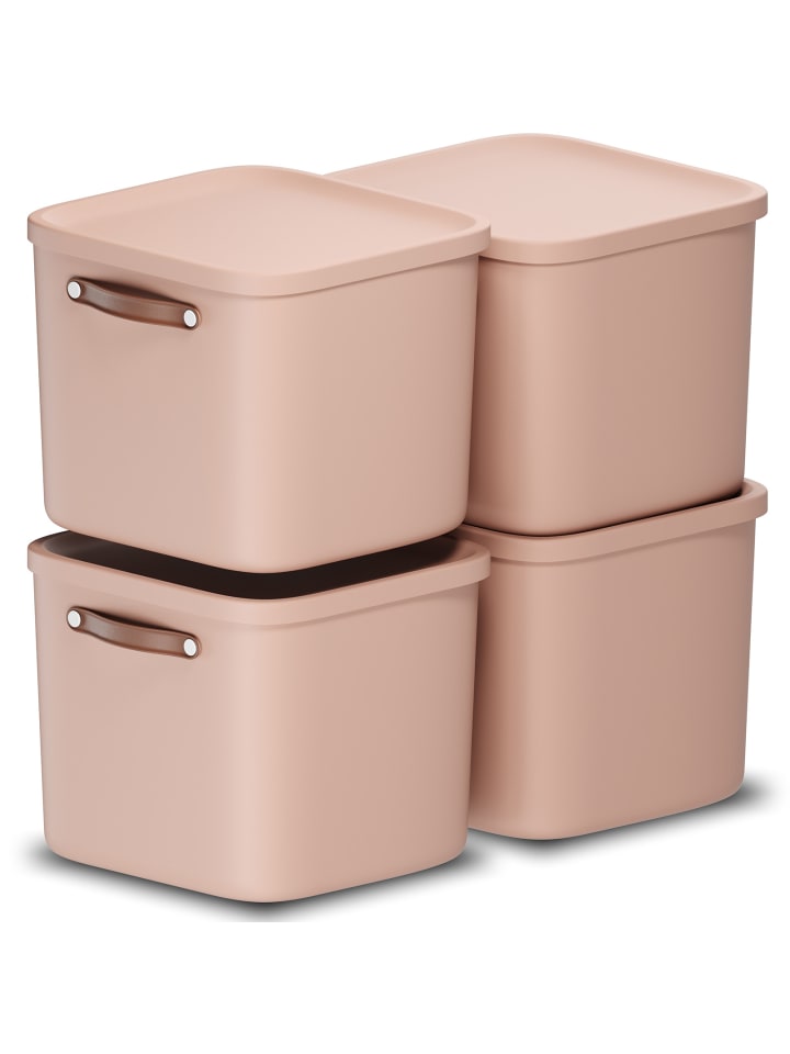 Rotho 4er-Set Kiste mit Deckel Maloja 40l in Meadow rose günstig kaufen onesize