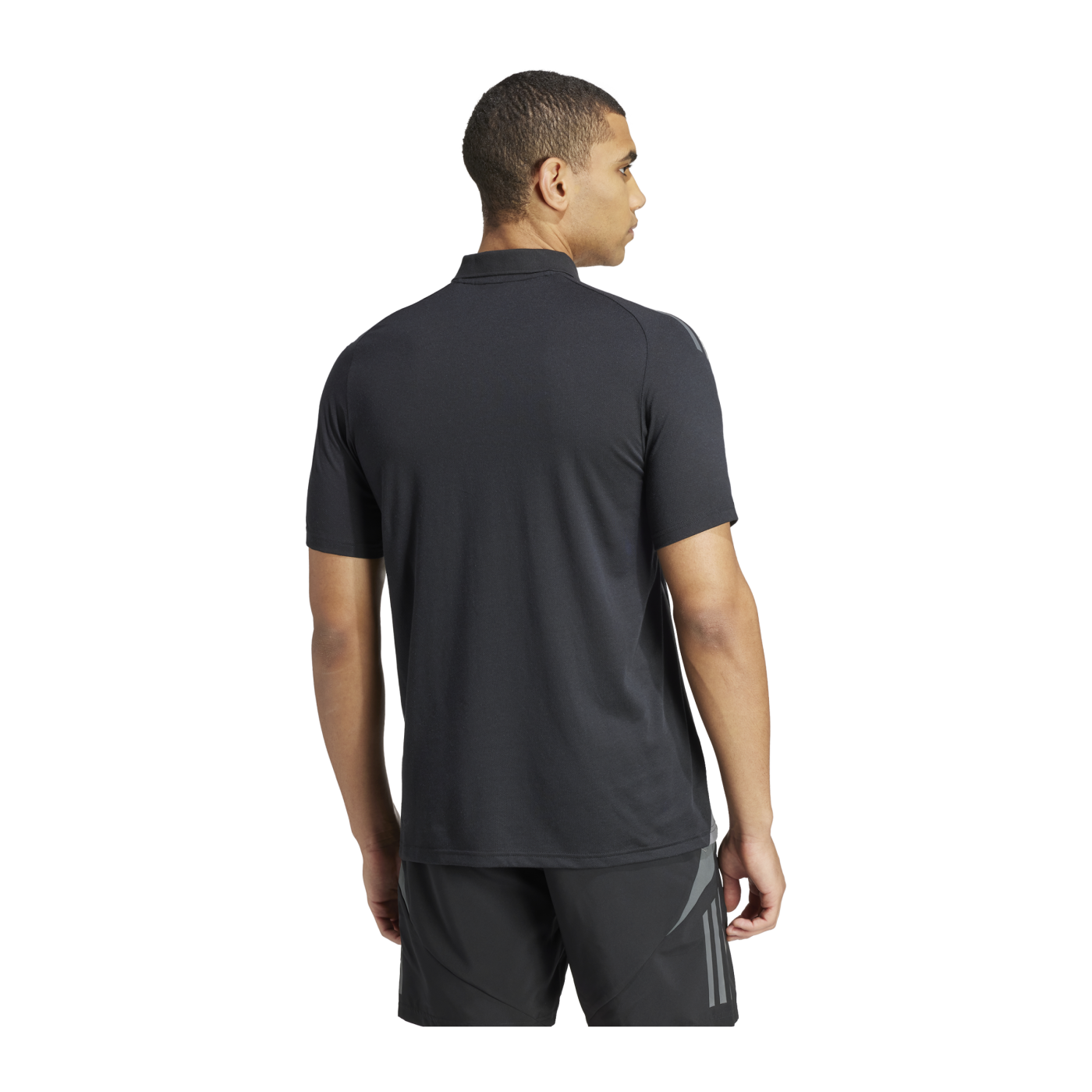 adidas Tiro 24 Comp Poloshirt Schwarz Grau