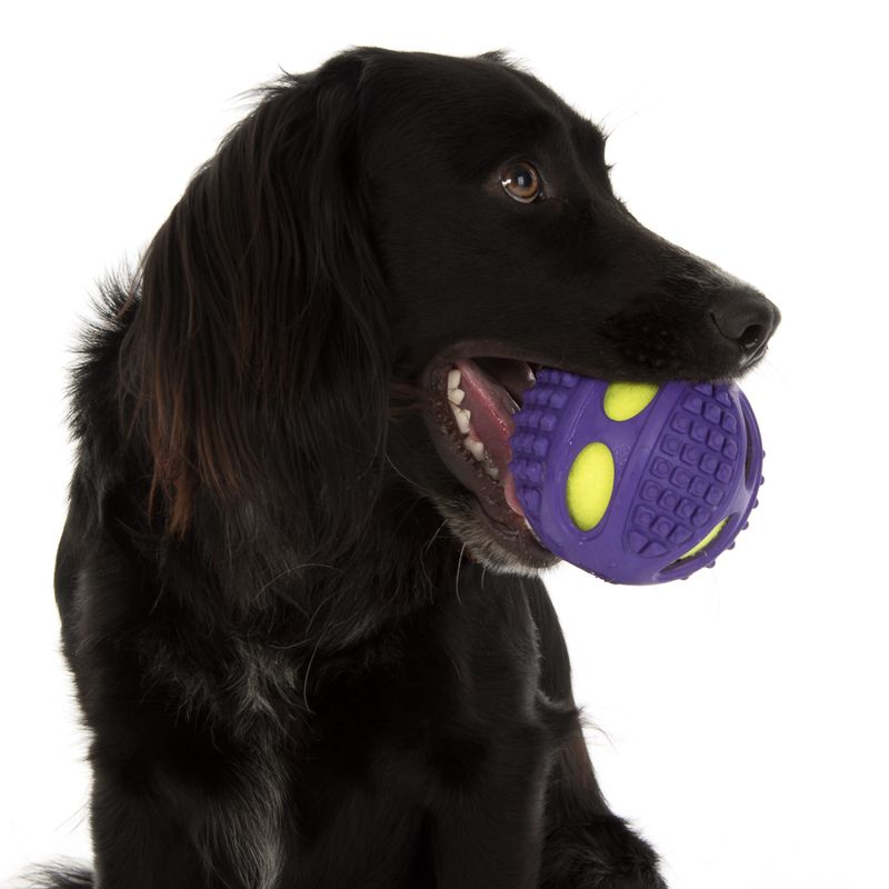 Hundespielzeug Gummi-Tennis-Ball 2in1 zu TOP-Preisen | bitiba %