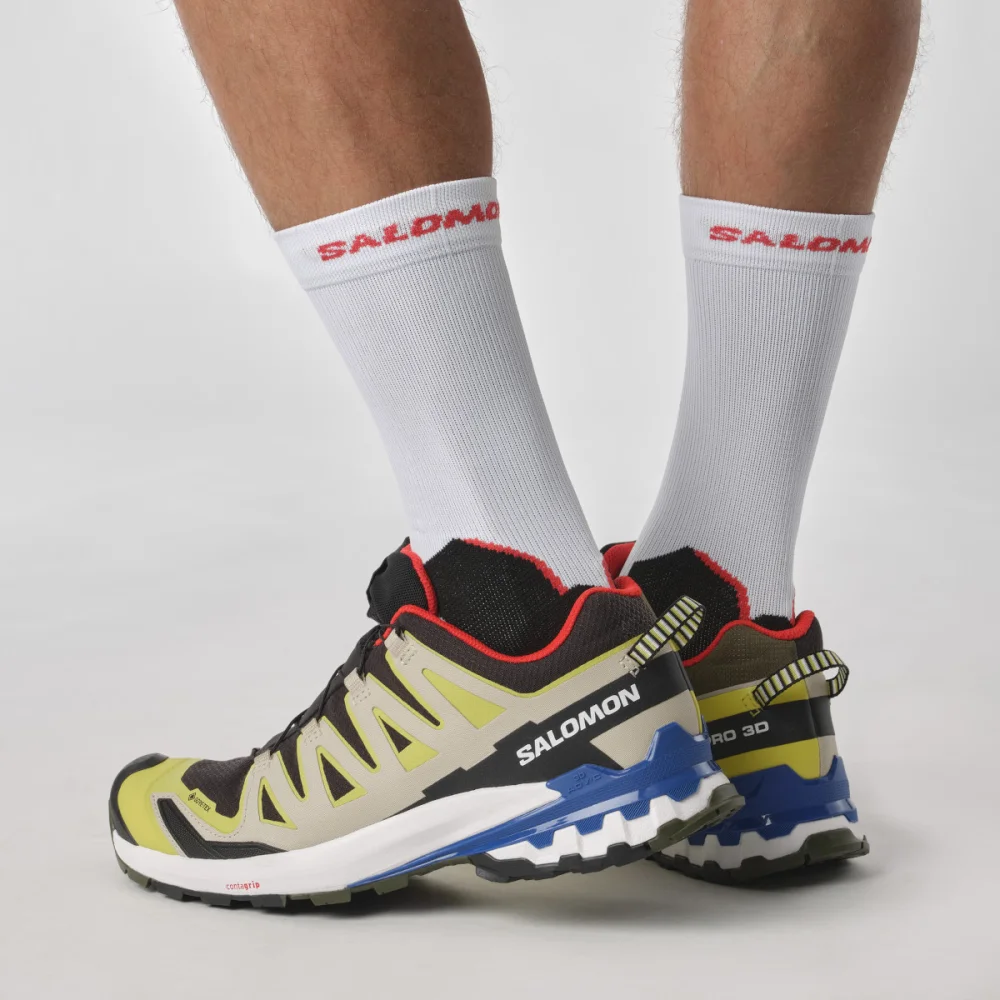 Salomon XA PRO 3D V9 GTX L47119000 / bunt