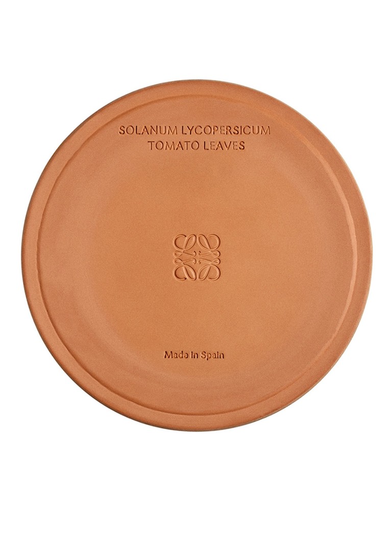 LOEWE Lielo tomātu lapu svece - aromātiskā svece 2120 grami