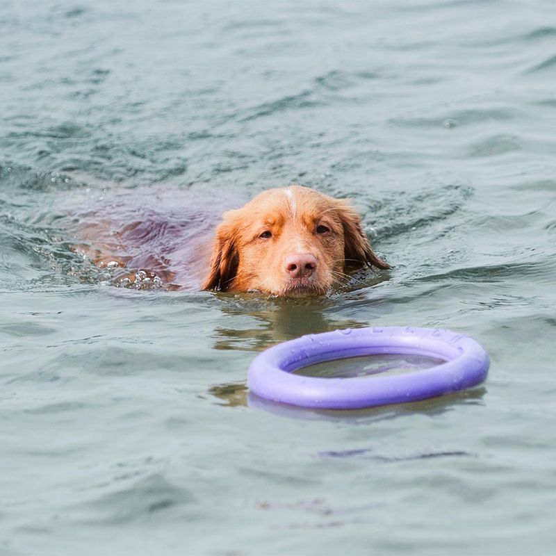Ferplast Hundespielzeug Puller zu TOP-Preisen