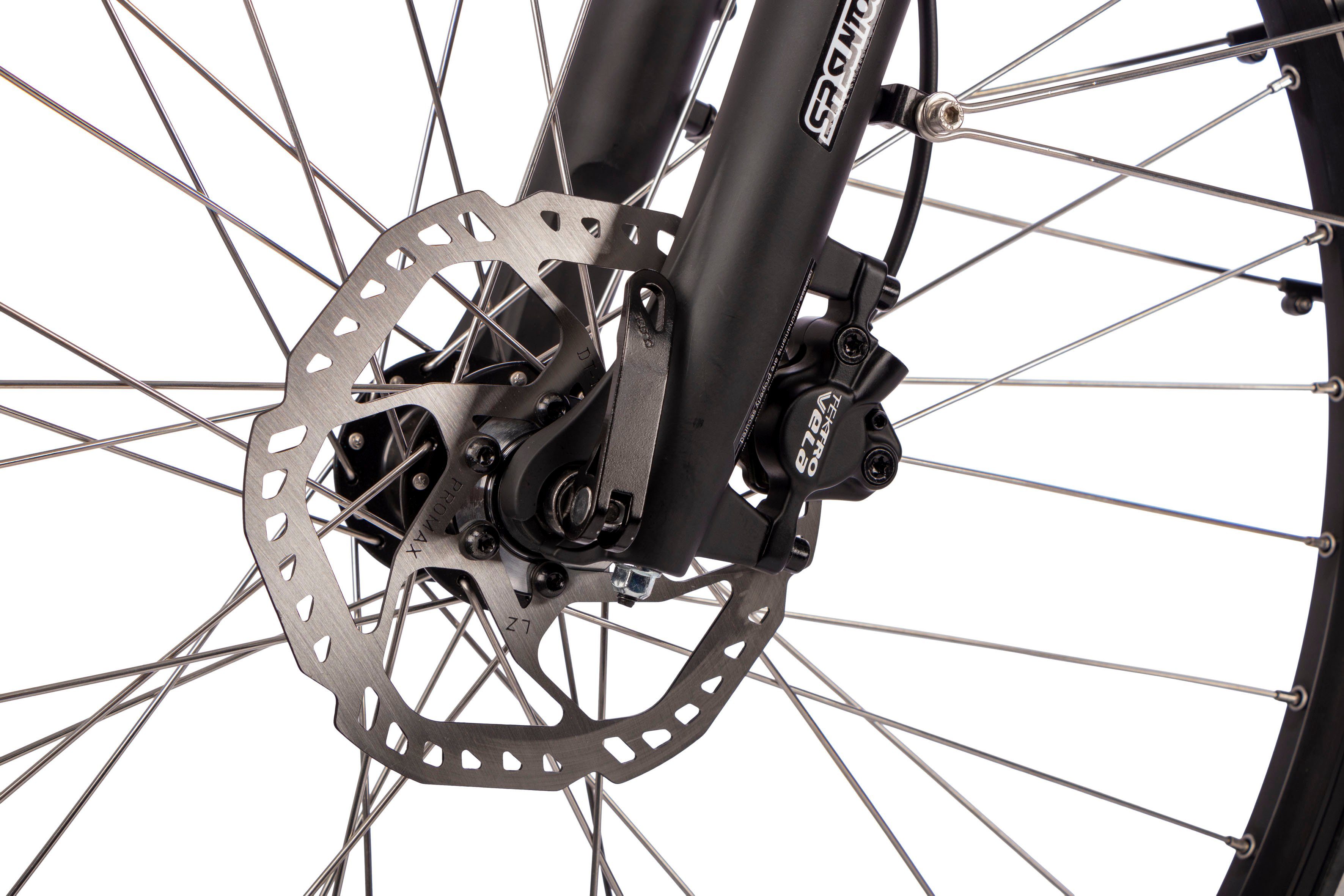 SAXONETTE E-Bike SAXONETTE Deluxe Sport (Trapez), 9 Gang Shimano Alivio Schaltwerk, Kettenschaltung, Mittelmotor, 418 Wh Akku