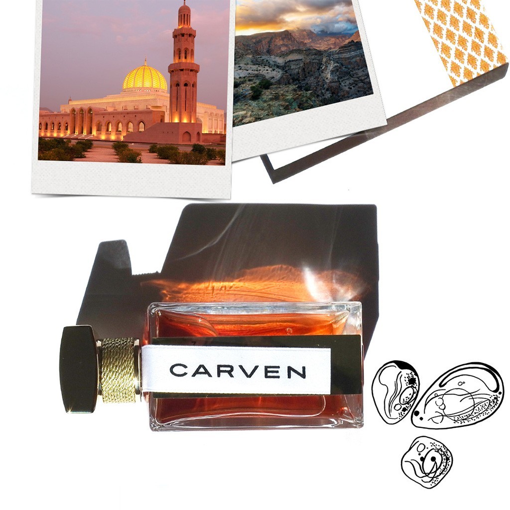 Carven PARIS MUSCAT