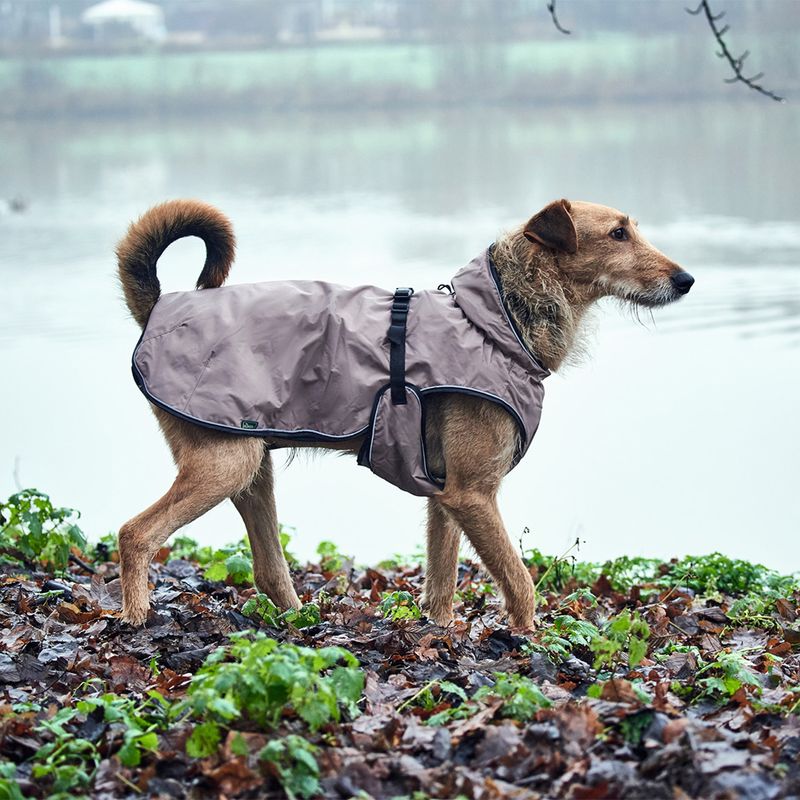 HUNTER Hundemantel Uppsala zu TOP-Preisen