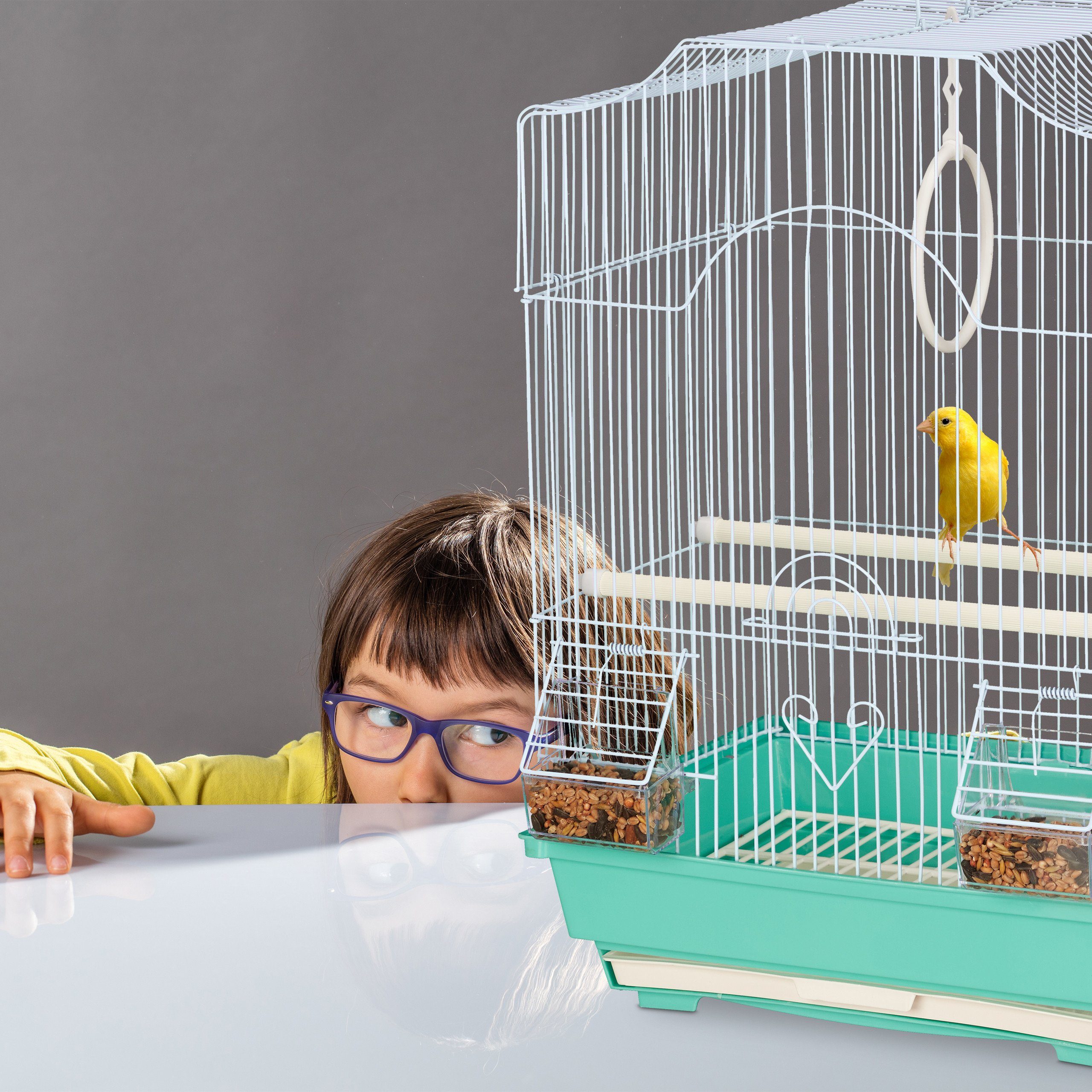 relaxdays Vogelkäfig Vogelkäfig mit Sitzstangen, Grün
