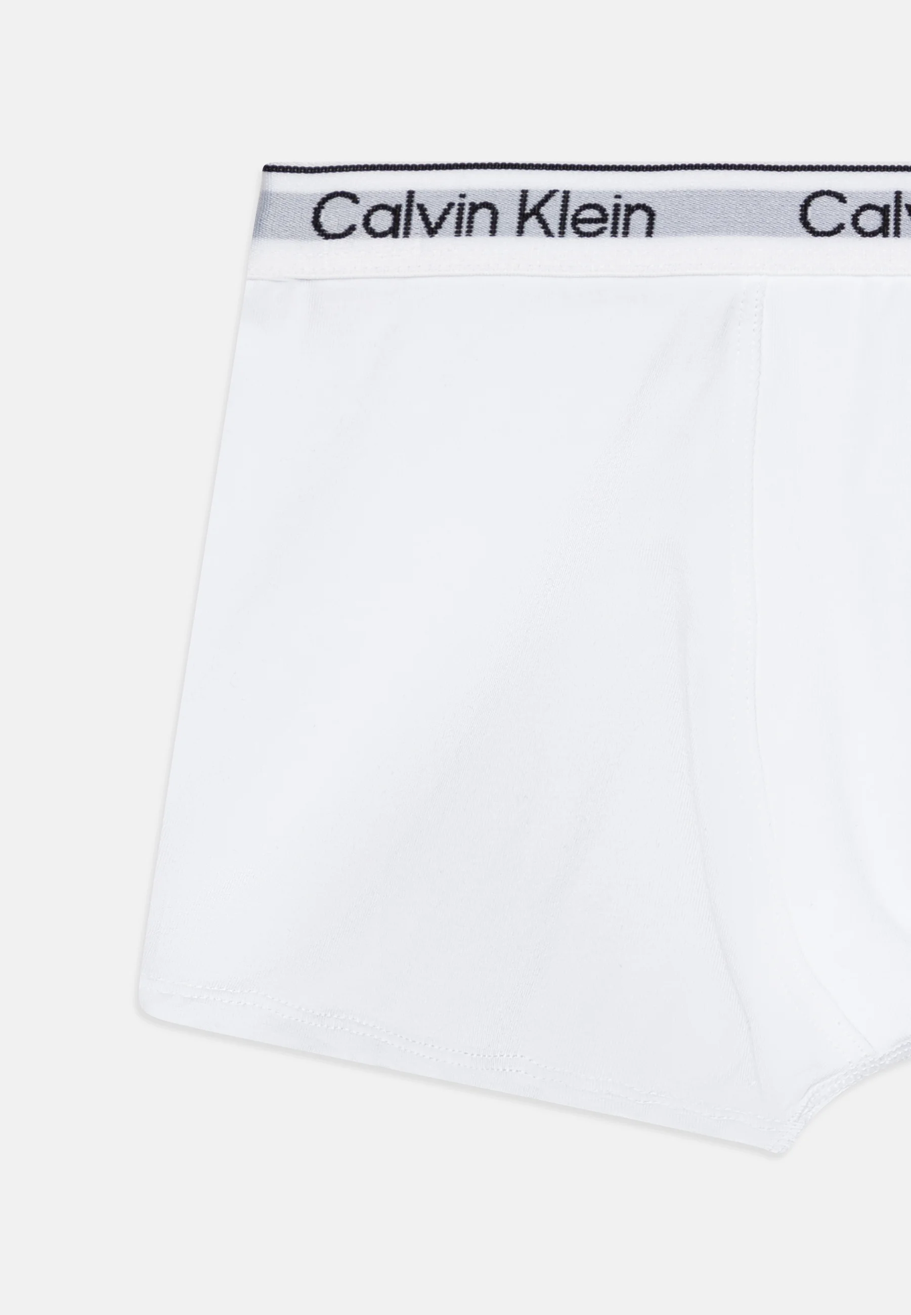 Calvin Klein Underwear TRUNK PACK DE 5 - Culotte
