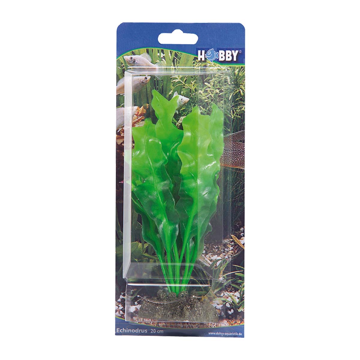 Hobby Aquariumdekoration Echinodrus 20 cm kaufen