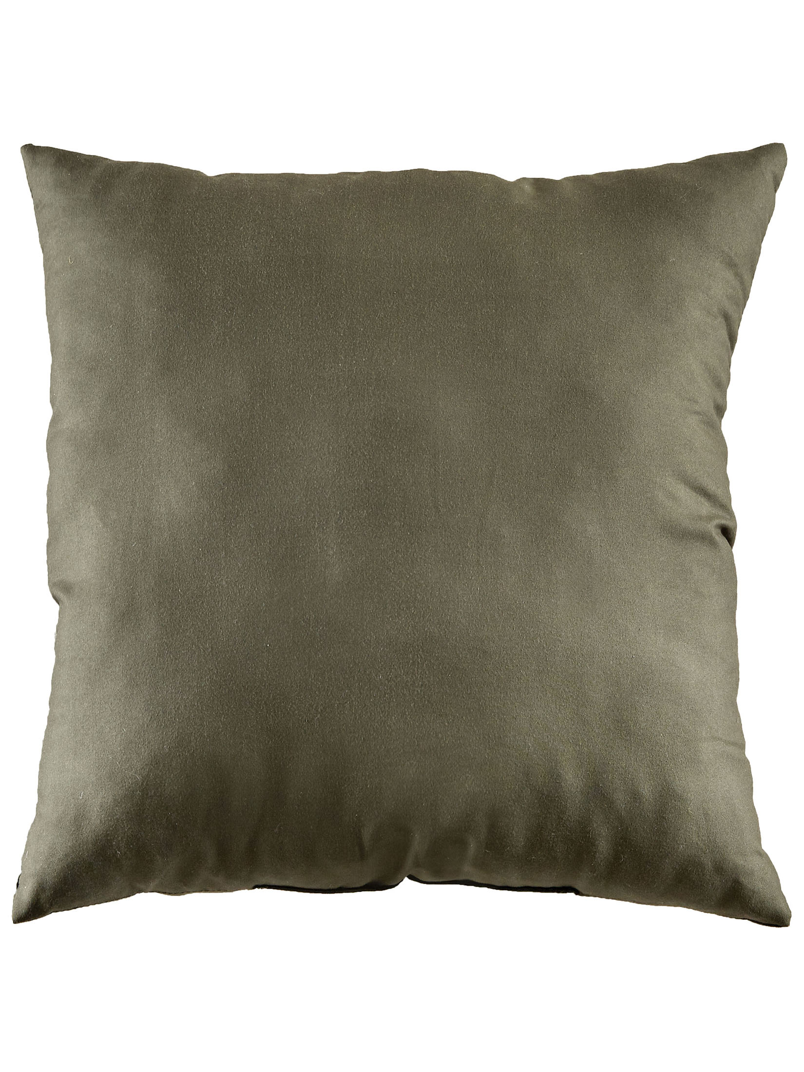 Amaroo Kissen, Olive