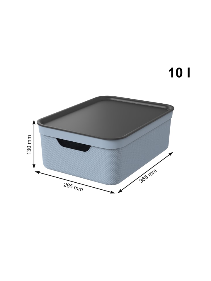 Rotho 3er Set Aufbewahrungsbox mit Deckel 10L JIVE in Blue Fog ged. günstig kaufen onesize
