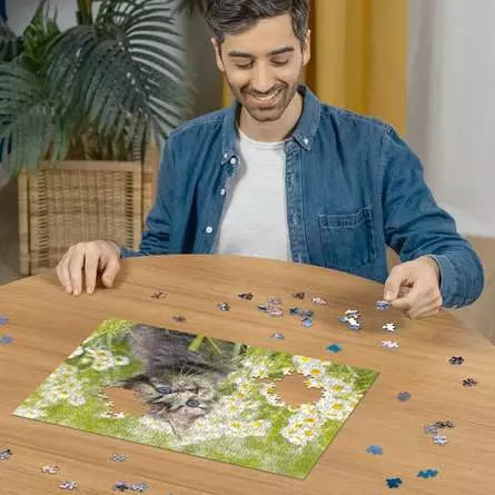 Puzzle 500 Teile - Kätzchen in der Wiese