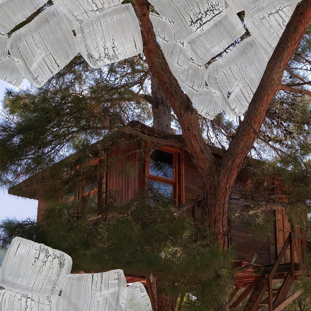 Tree House