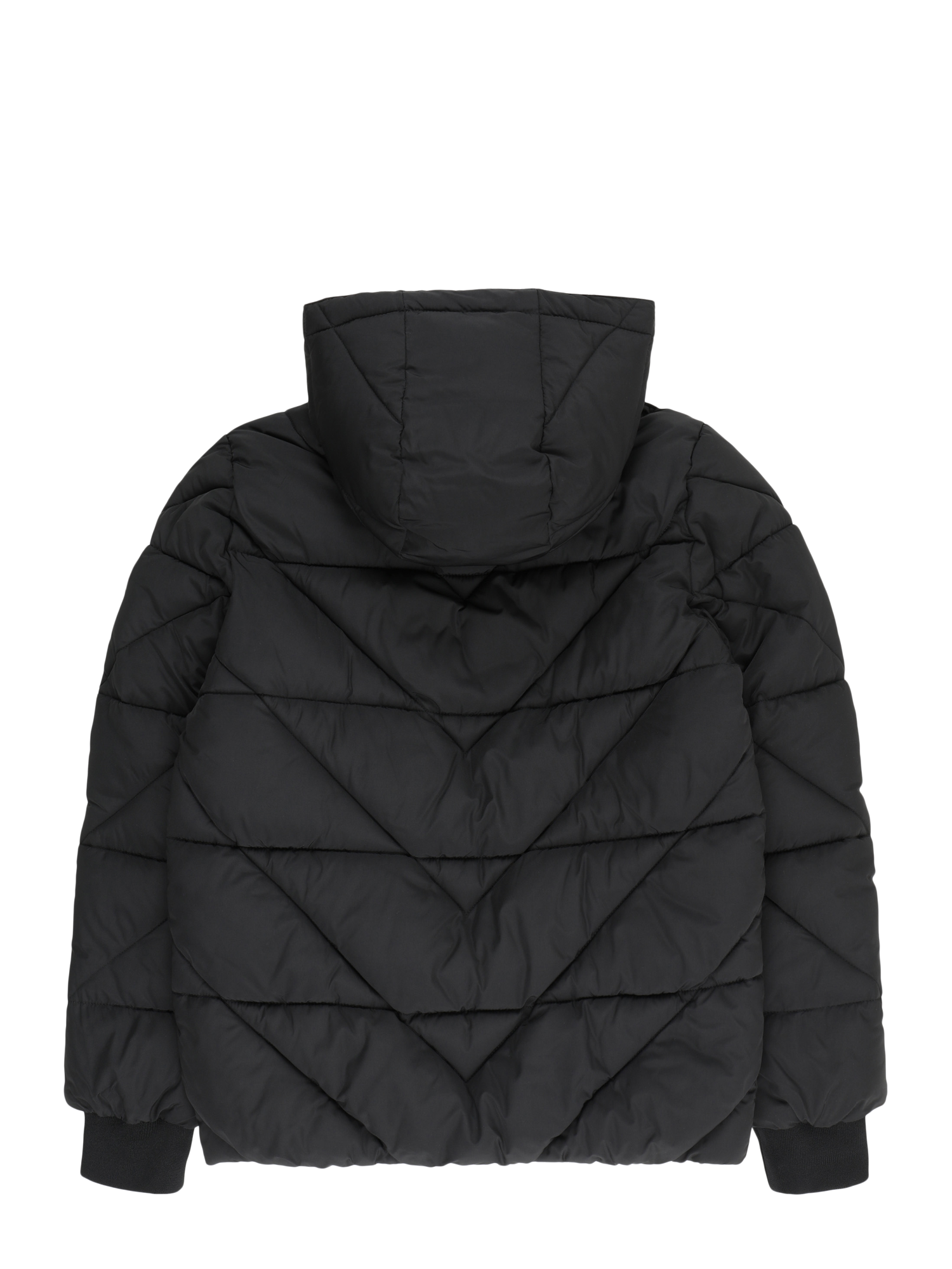 Between-Season Jacket