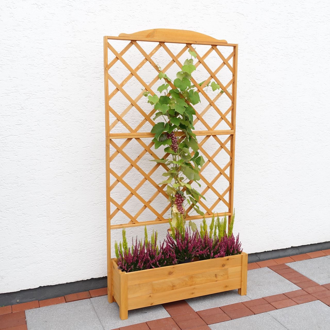 PROMEX Promadino Rankkasten Botanica 110x210 cm