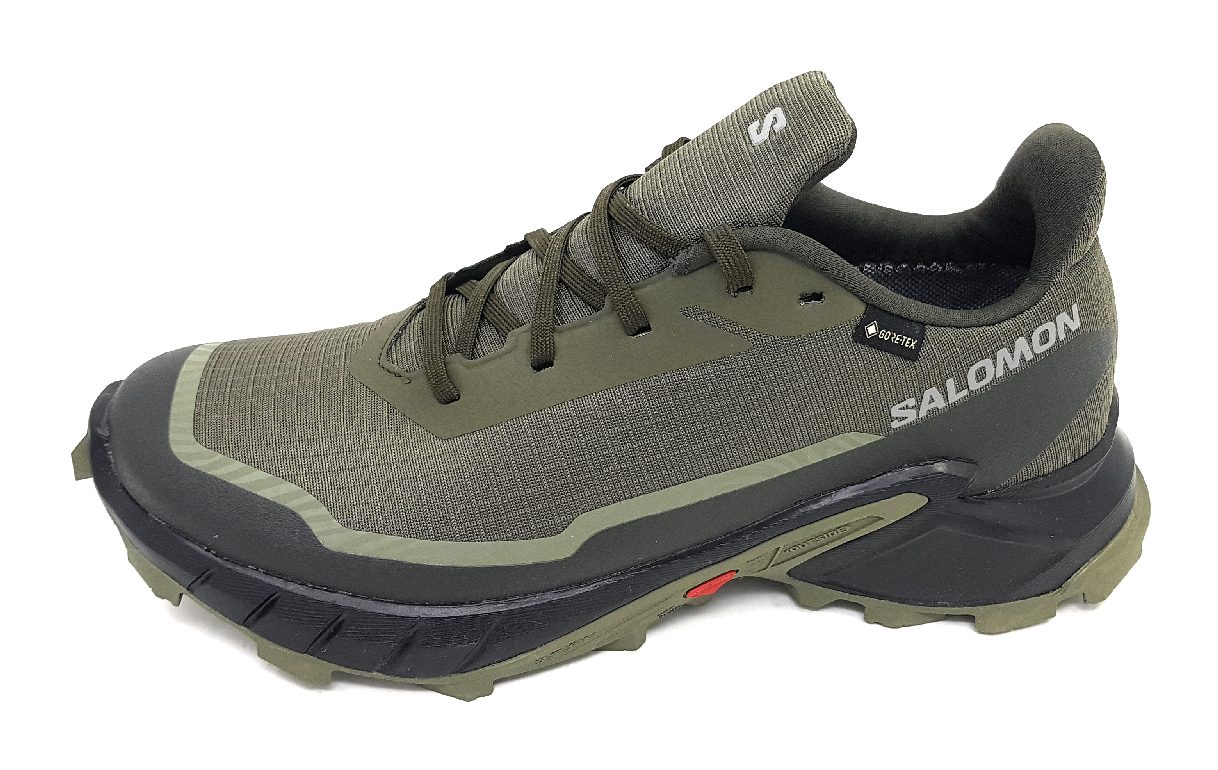 Salomon Alphacross 5 GTX L47310300 Grün Olive Night/ Black/ Green