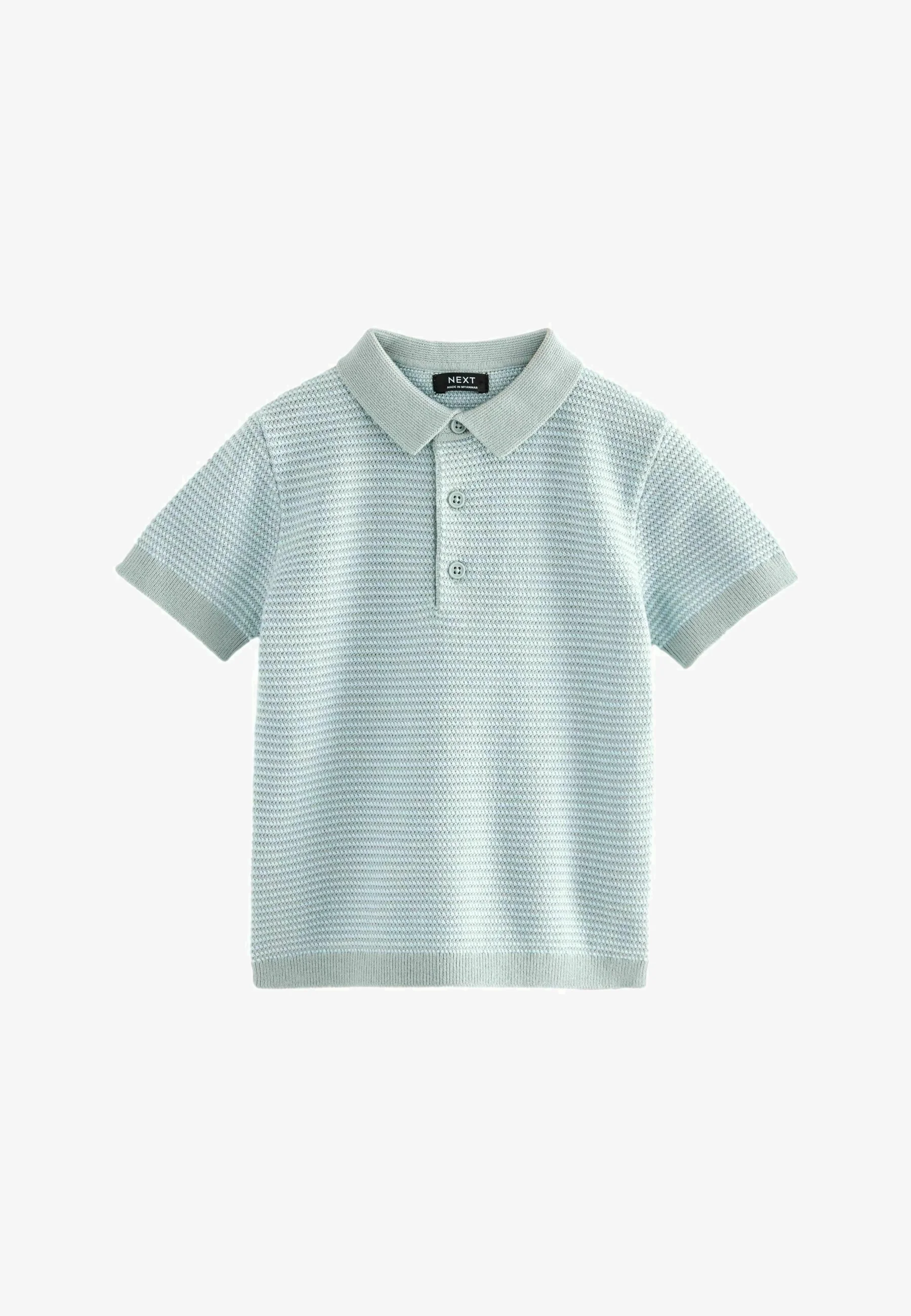 Siguiente Polo de manga corta y corte regular