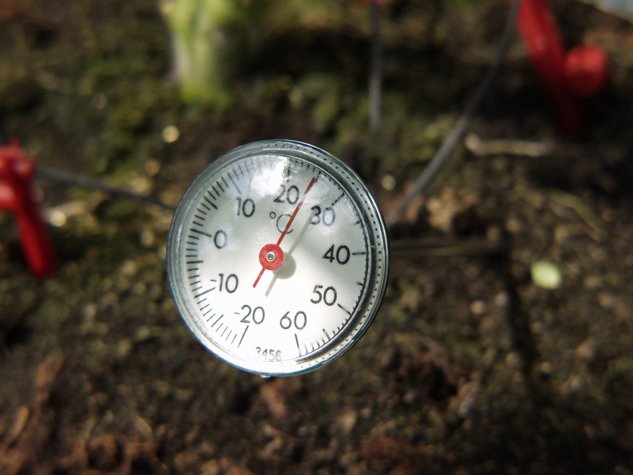 Vitavia Erdthermometer