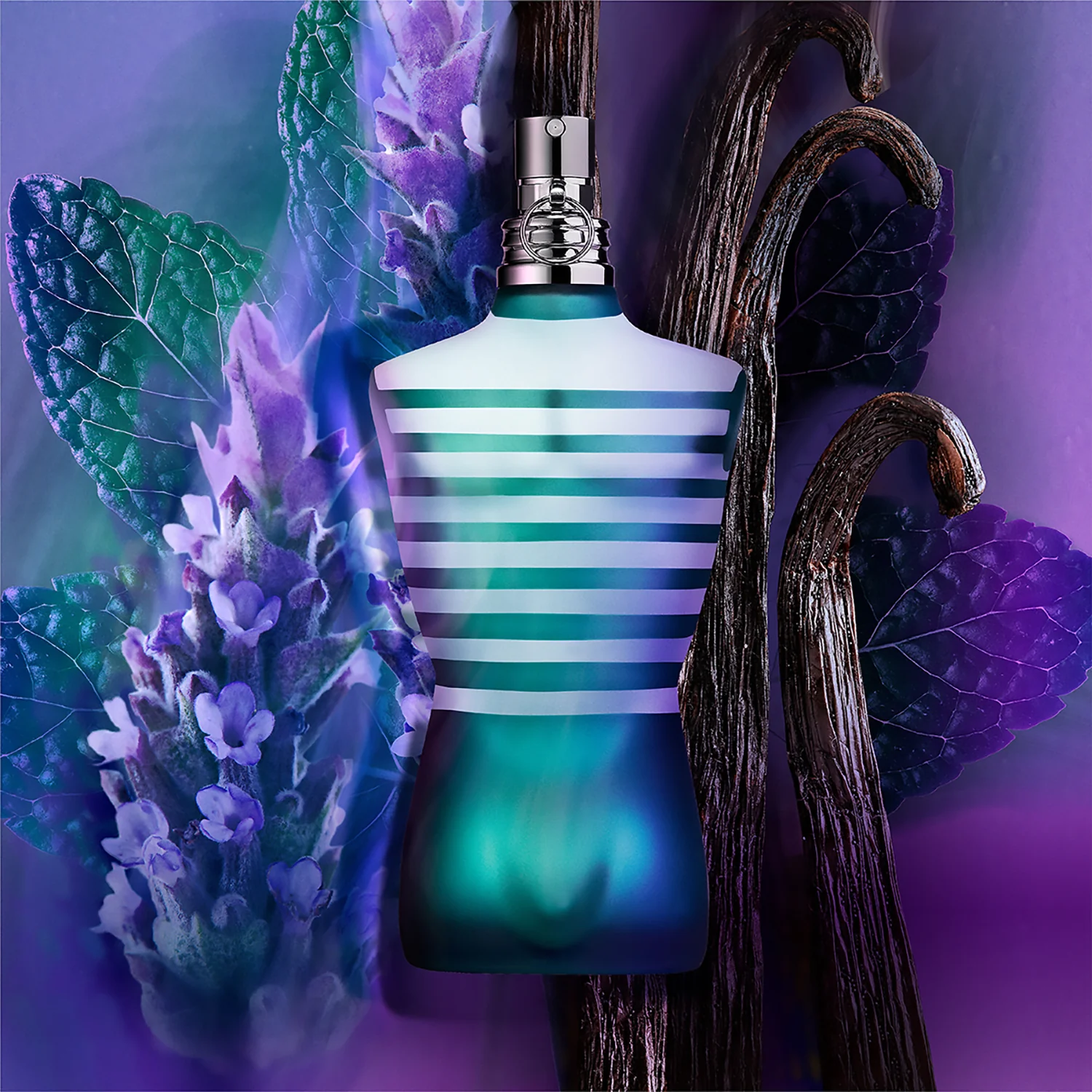 Le Male Le Male - Eau de Toilette
