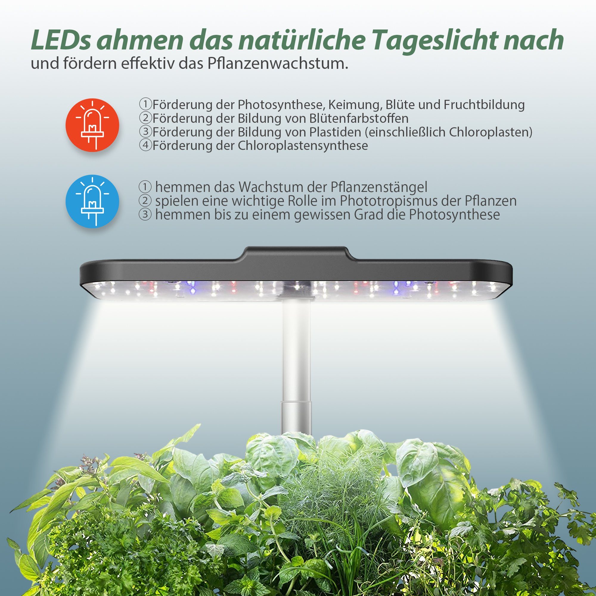 HomeGuru Pflanzkübel Hydroponische Anzuchtsysteme,Smart Indoor Garden,mit LED-Pflanzenlampe (1 St., Packung)
