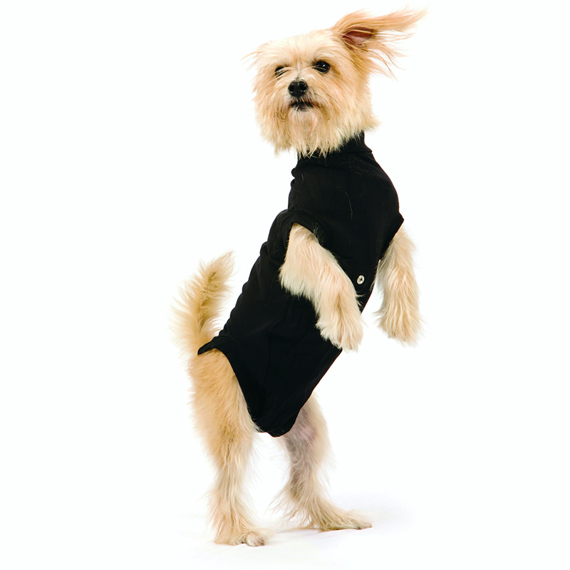 Trovet Hundepullover Trovet Hundebody Recovery Suit schwarz XXS