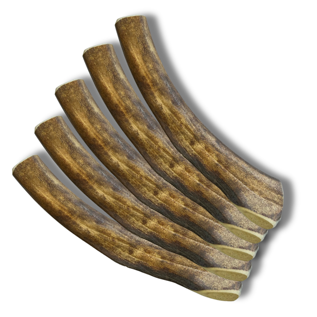 ChronoBalance Snacks ChronoBalance Rentier Geweih Snack XL