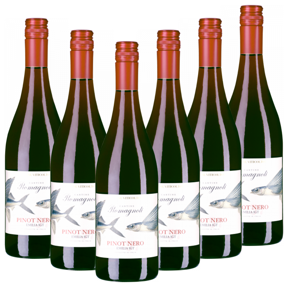 Edizione Viticoltore Pinot Nero Emilia IGT  Romagnoli Edizione Viticoltore trocken - 6er Karton