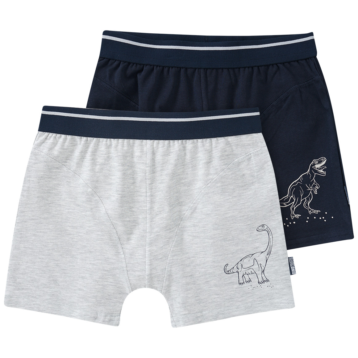 2 Jungen Boxer mit Dino-Motiv