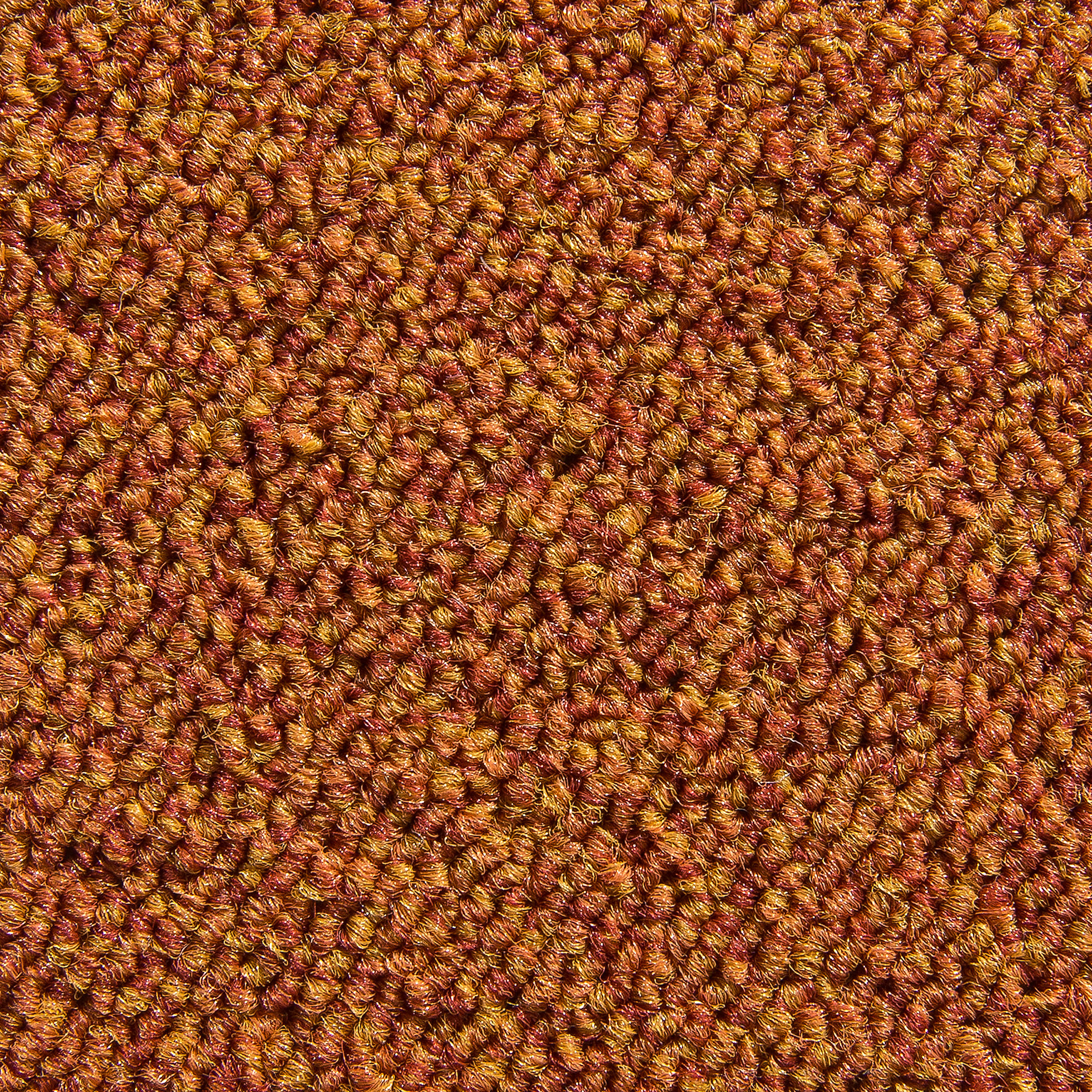 Optimal Schlingen-Teppichboden, Terra