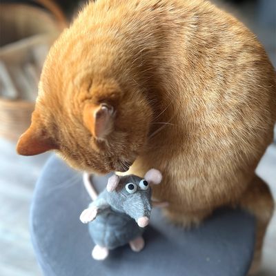 Aumüller Katzenspielzeug Ratte Cedric mit Baldrian