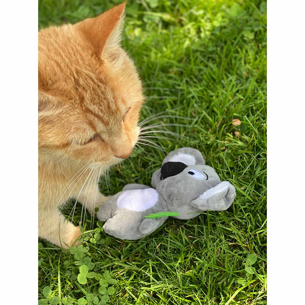 Aumüller Katzenspielzeug Koalabär Jack kaufen