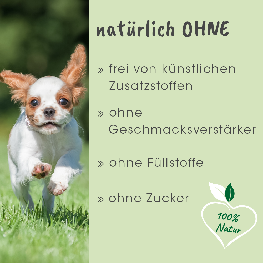 ArthroGreen Ergänzungsfutter & Aufzucht ArthroGreen Junior 25 g