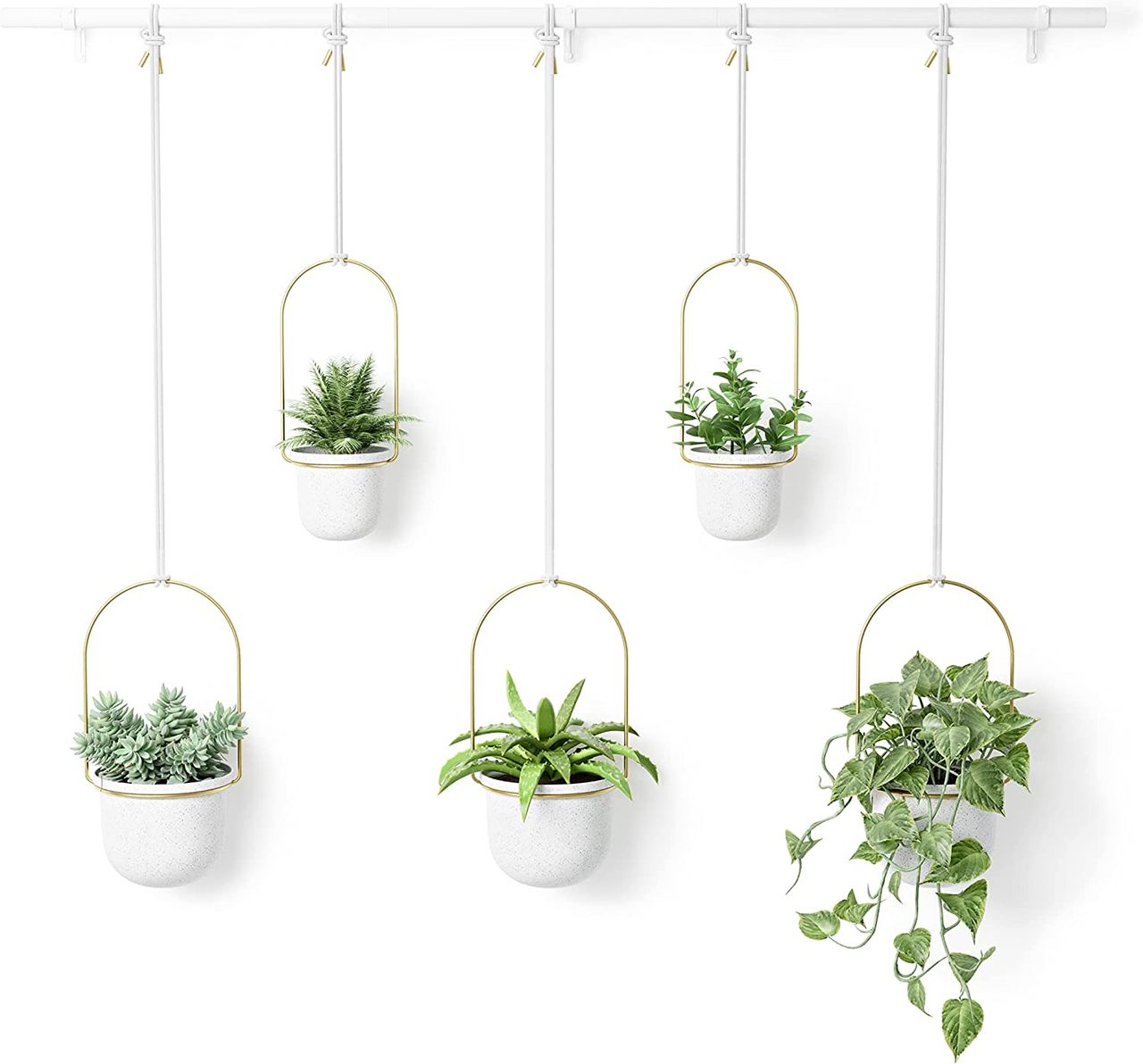 trends4cents Umbra Triflora BRASS Hängeblumentopf, Wandvase, Blumentopf, Blumenampel für Wand-& Deckenanbringung
