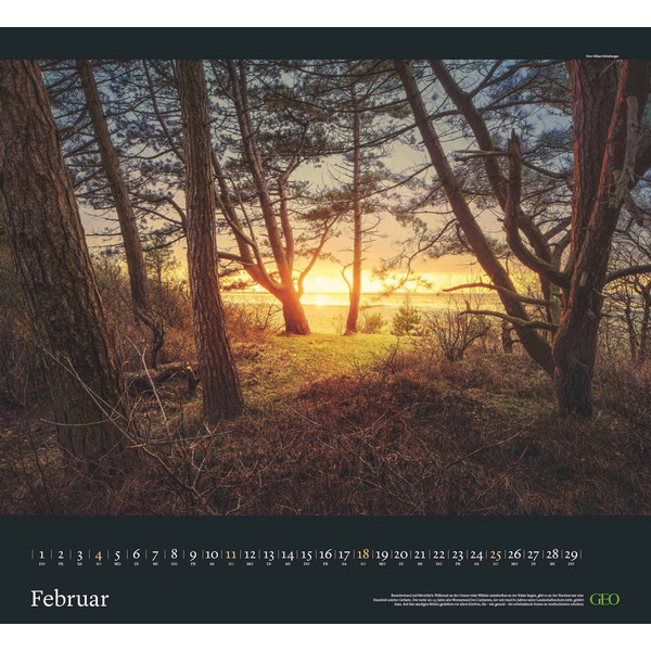 GEO KALENDER: SEHNSUCHT WALD 2024 - WAND-KALENDER - Kalender