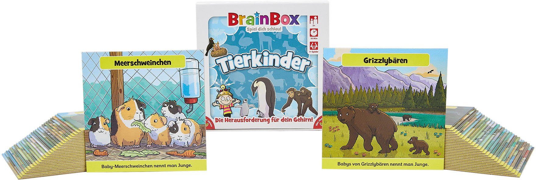 BrainBox Spiel, Tierkinder