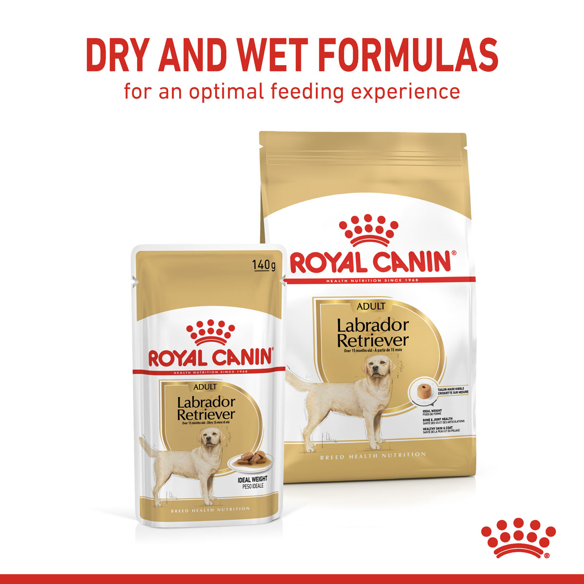 ROYAL CANIN Labrador Retriever Adult Stückchen in Soße Nassfutter für Hunde