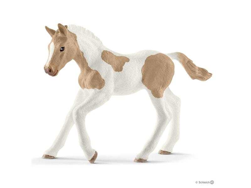 Poulain Paint Horse