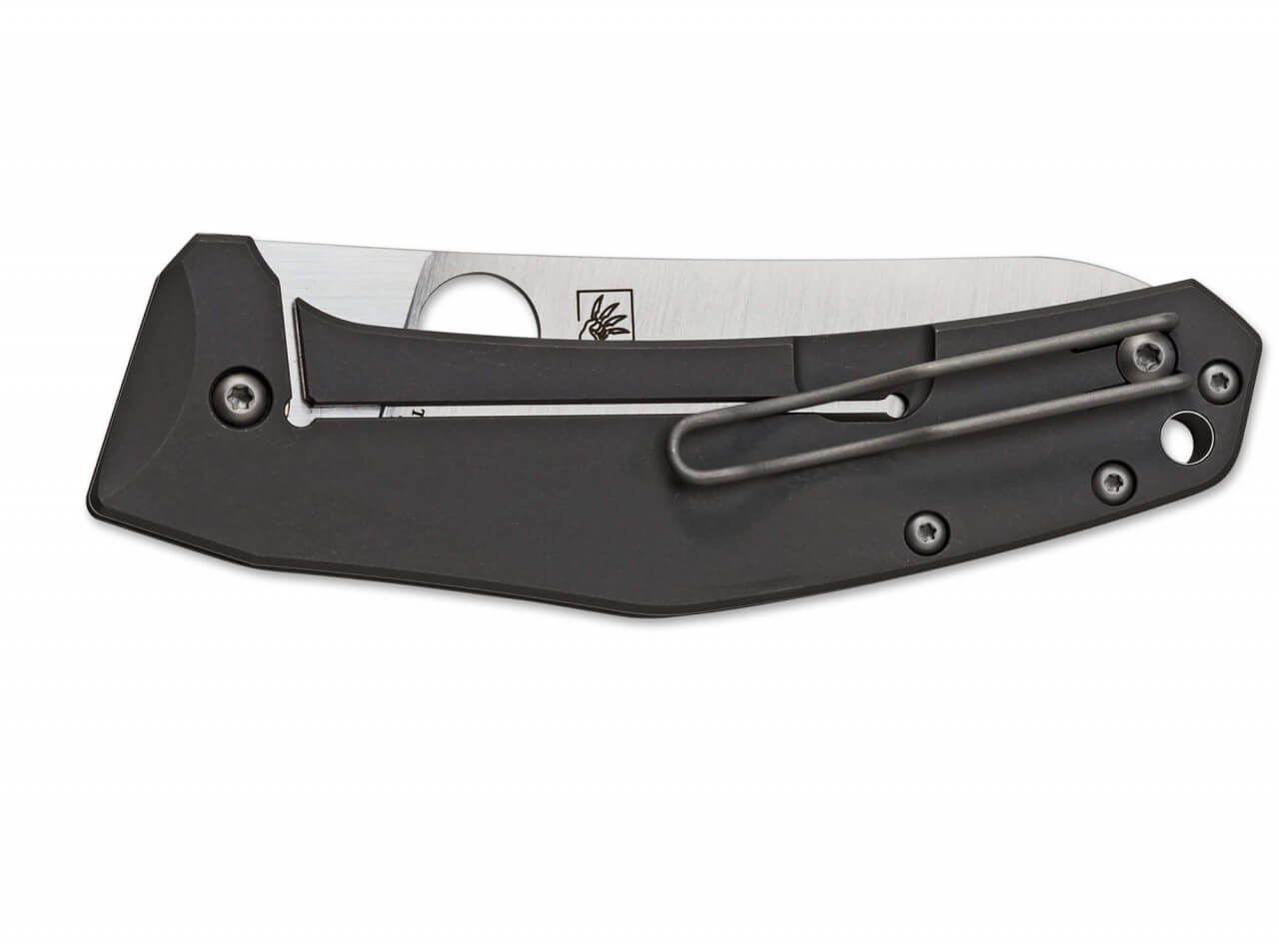 SpydieChef